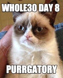 Whole30-day-8-purrgatory